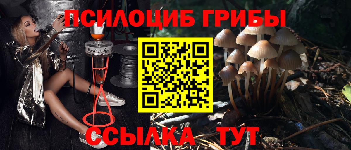 Саров  Галлюциногенные грибы мухоморы  Вход с VPN  Псилоцибиновые грибы Cubensis 