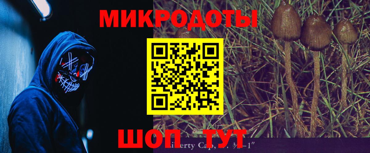Галлюциногенные грибы Psilocybe Саров